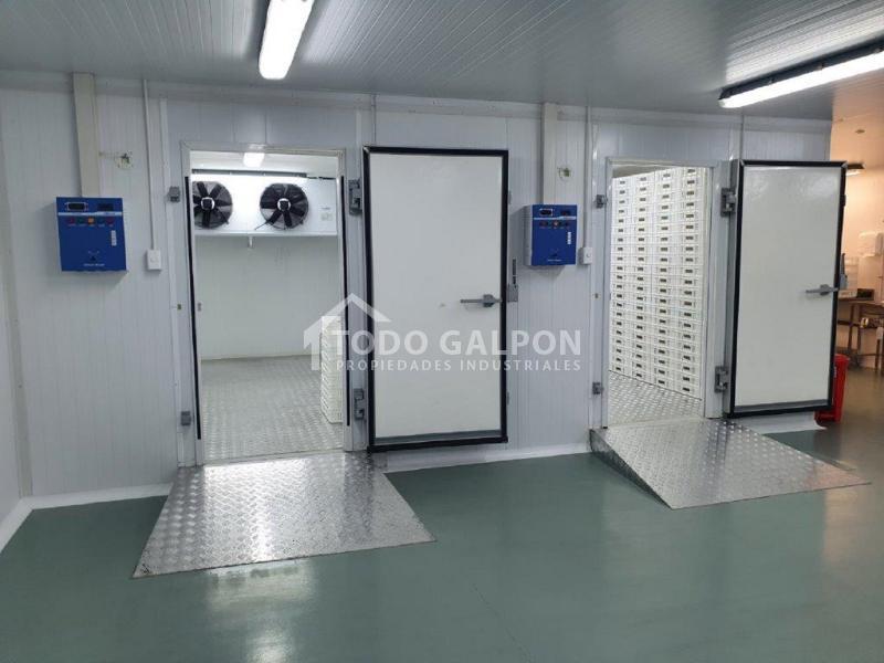 Venta de Galpón Industrial - Semiindustrial ( Mixta ) - El Trebol - Padre Hurtado.